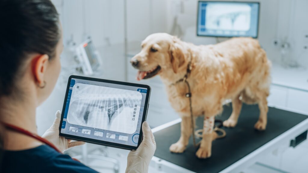 Pet Diagnostic Imaging
