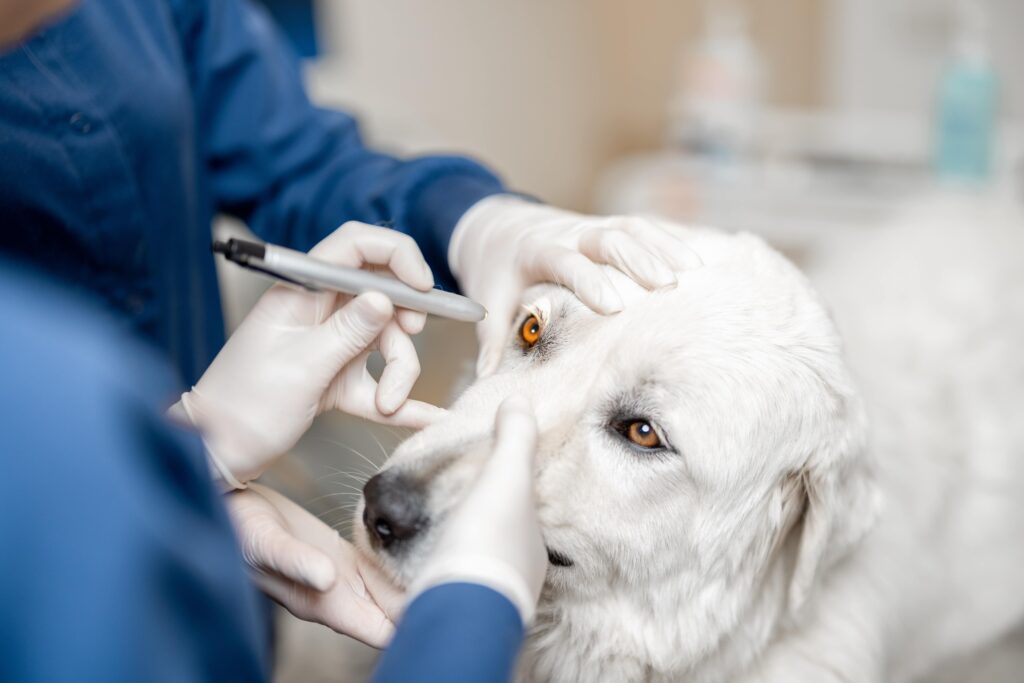 Pet eye care