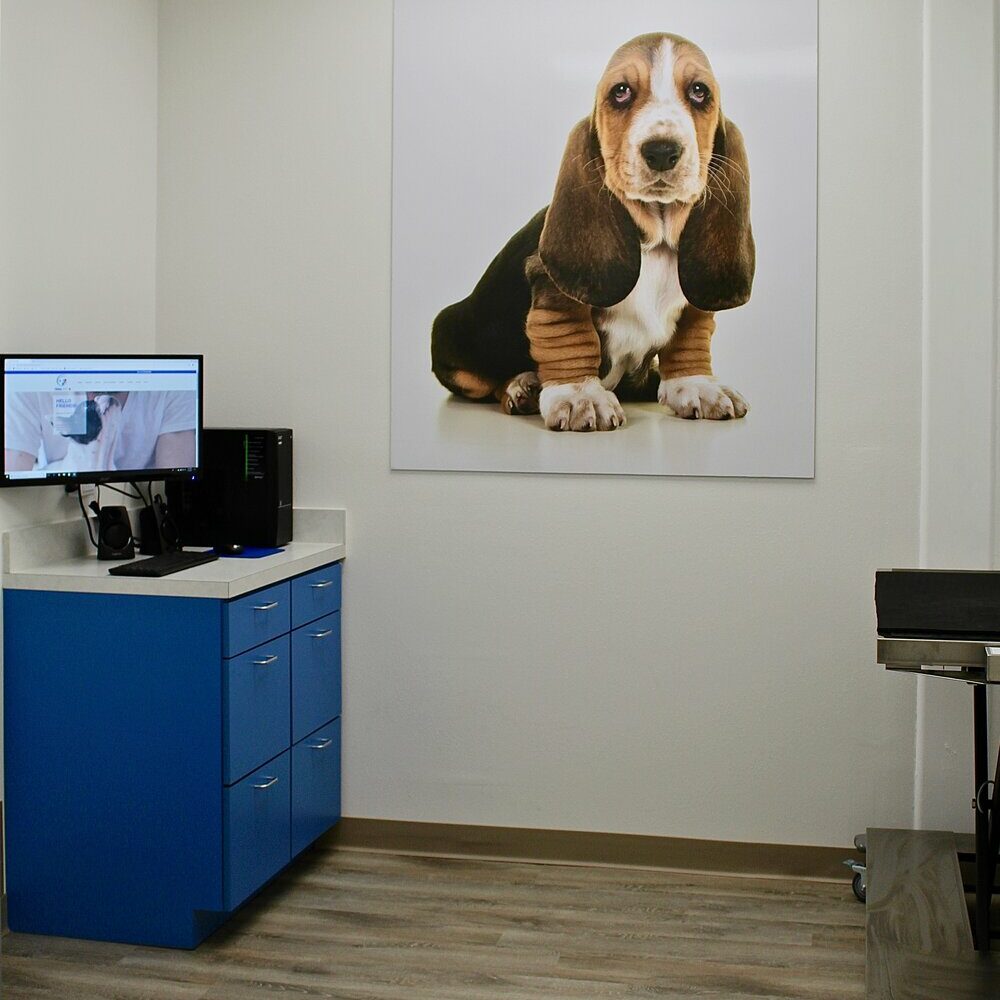 Trail Pet Hospital facility with an examination table and desktop computer for dogs